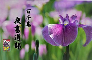 5月夜.jpg