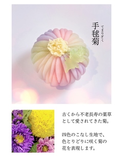 手毬菊2.jpg