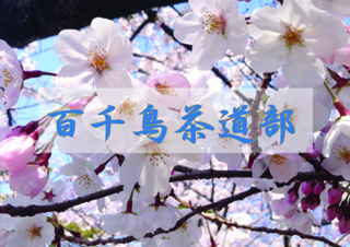 茶道部3月のコピー.jpg