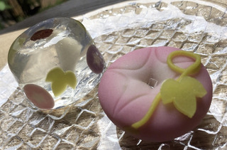 風鈴朝顔 ピンク.jpg
